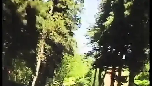 Pistonunu kıçağıma sok