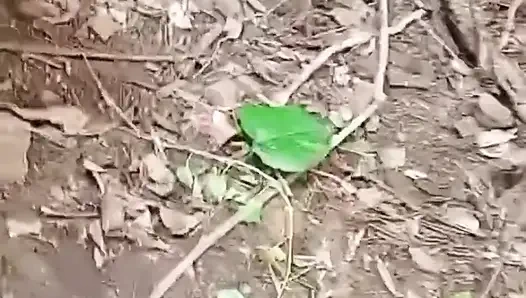 Wife Got Fucked with Neighbour While Her Husband Working in the Jungle