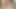 Wife Fucked on Camera While Her Husband Is Watching
