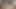 Göt harika çalışıyor