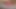 Genuine Creampie - Gift From Dirty Santa 2