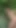 Ormanda kayboldum, yarak için çaresiz olan seksi bir Hintli kız buldum | Klip 2