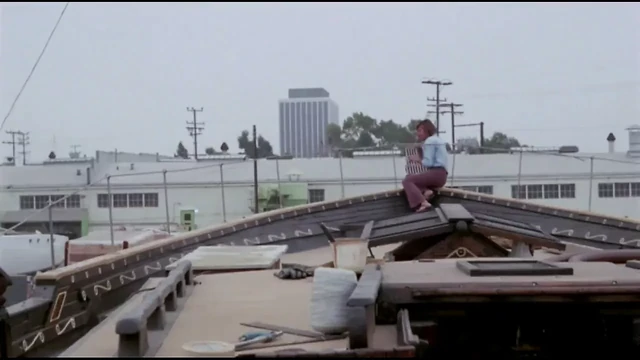Blue Money (1972, US, full movie, DVD rip)