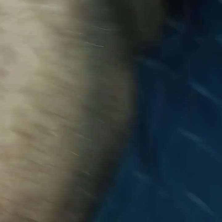 Desi Bangladeşli Model Chudai Video