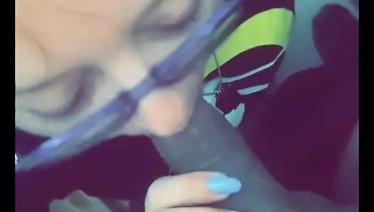 Swallow