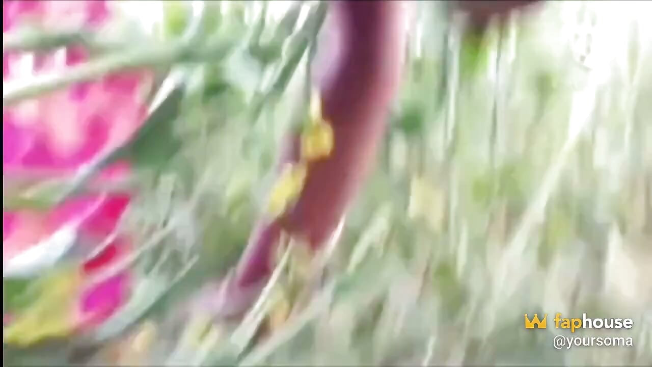 Village Bhabhi Fucked in Mustard Field in Doggy Style by Field Owner