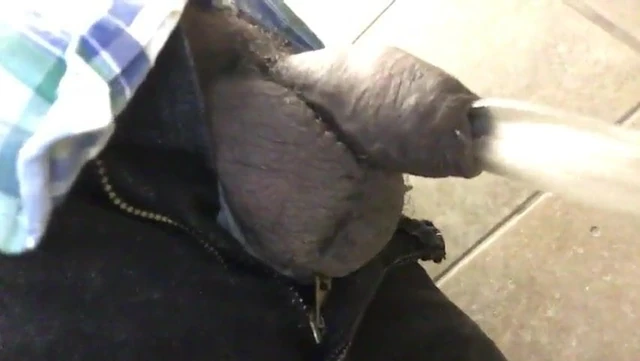 Balls out pissing