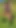OnlyFans teaser - This super-cute sheep followed me around the entire shoot!