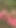 Must-see moment from "Petite Girl Masturbate Outdoor. Alone in Nature"
