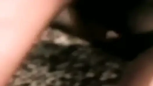 Jade pussycat klasik güzellik