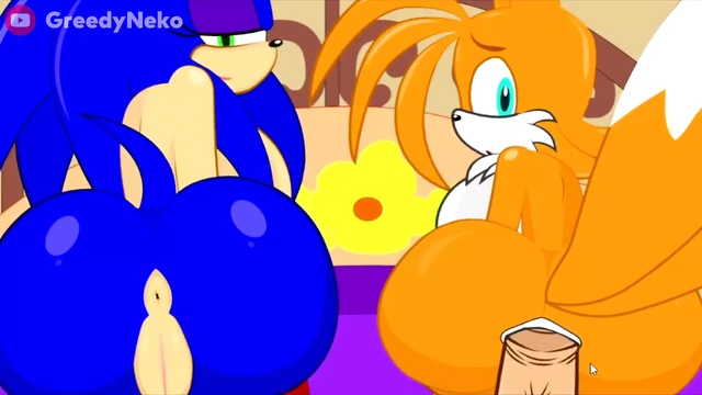 Sonic Transformed 2