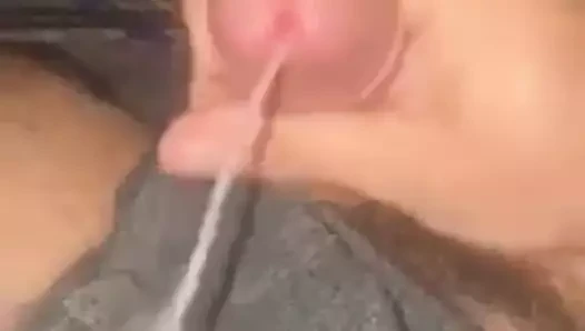 kriko kapalı biter içinde su birikintisi arasında boşalmak