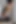 Slut Kore Fox Bondage'da Oral Seks Eğitimi