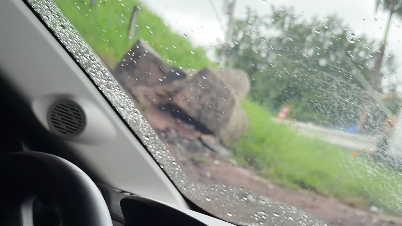 Scavenger กระดาษแข็งเงี่ยนเมื่อเธอเห็นเรา
