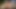 Nudity Challenge