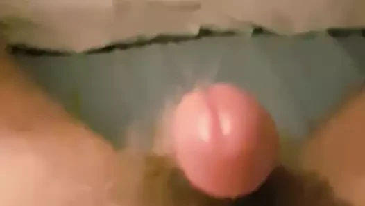 sperm
