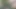 cumming in the woods