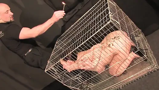 Pounding Into a Trembling Body