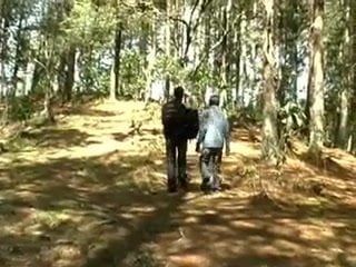 Promenade dans les bois