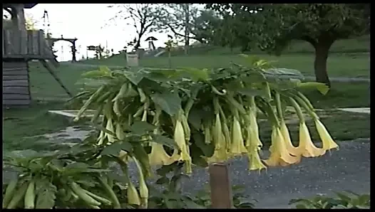 Sehnsucht nach Vintage MADE IN GERMANY - Episode 4