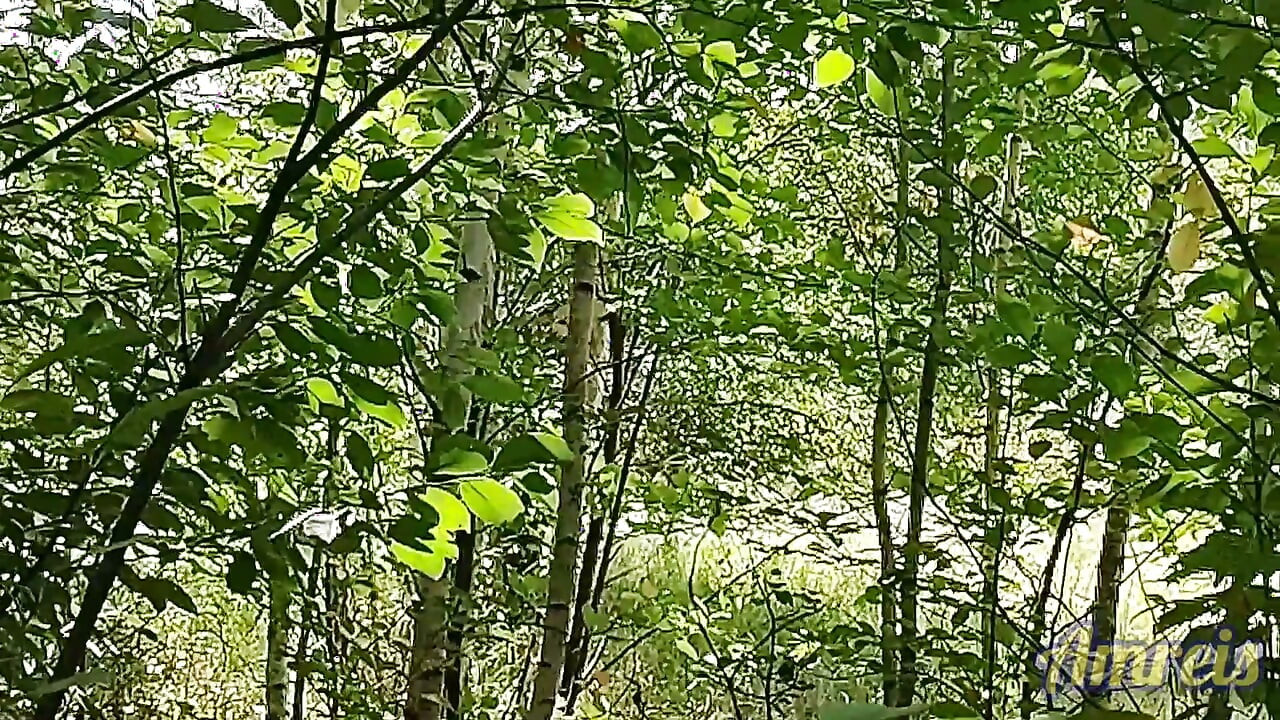 Jerking off in the woods near the highway. I almost got caught!