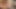 رجل أصلع يرضي عاهرة موشومة بضربها على الأريكة
