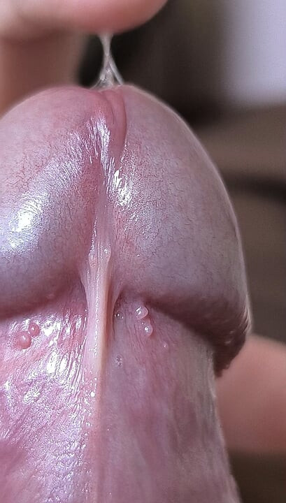 Close up cock head slow edging