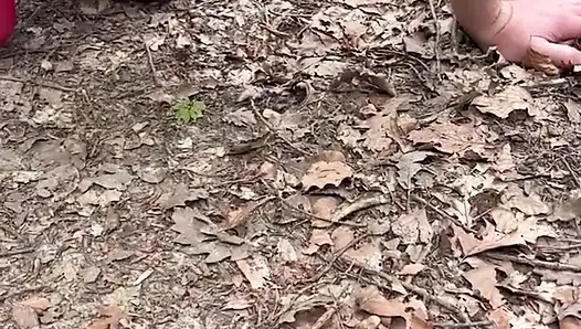 Punishment in the Forest...