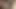 Juciy kedi hoşlanır varlık becerdin tarafından büyük horoz
