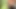 bear in the woods (hot boxers and cumshot)