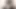 Büyük baştankara ig içinde ona prime