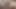Shy preview of myself