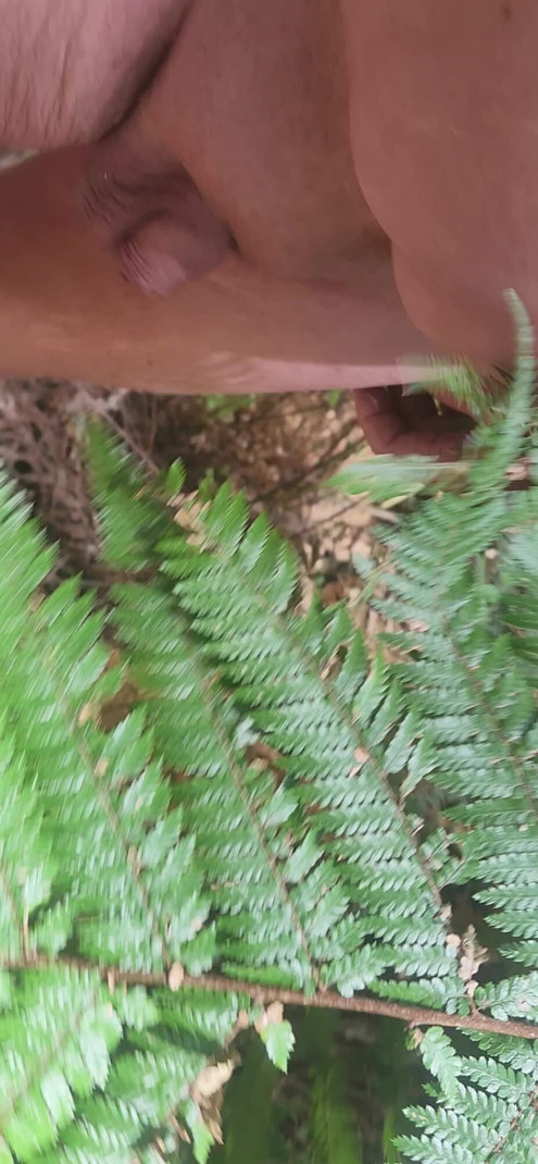 Forrest walk nude