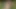 FarmBoy Gets Tall Mature Slut Horny