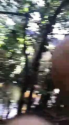 Desi Outdoor Village Girlfriend sex