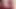 Chubby Shemale Plays Closeup