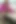 Sarah kazak elbisesini çıkarıyor ve solo külotlu çorap pornosu yapıyor