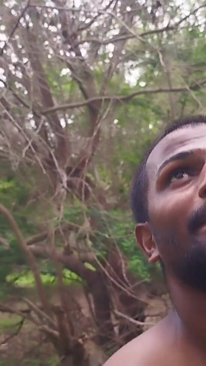 Village Forest in XHard living daily sex activity on education | Clip 1