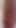 Insanely realistic penis dildo
