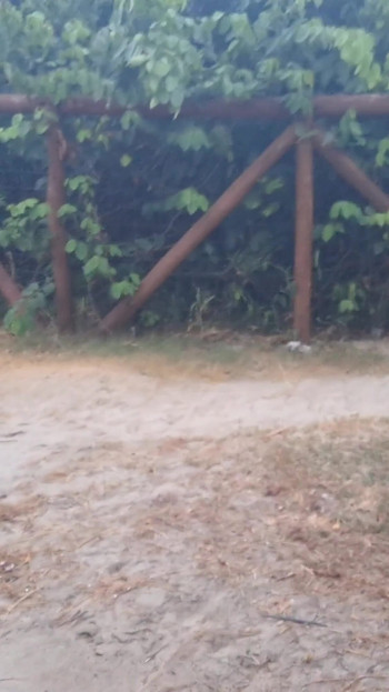 Thrilling moment from "Risky handjob for a woman who passed in public!"