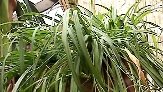 Perfekte deutsche huren, die schwanz im anal-dreier im freien teilen