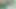 Nettle delight 3