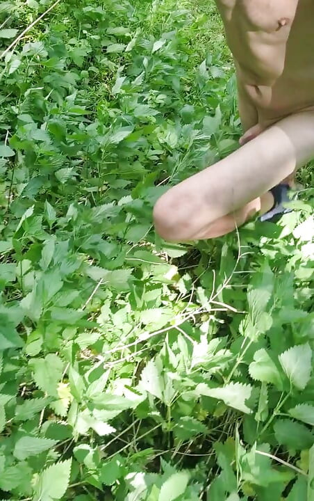 Playing in nettles