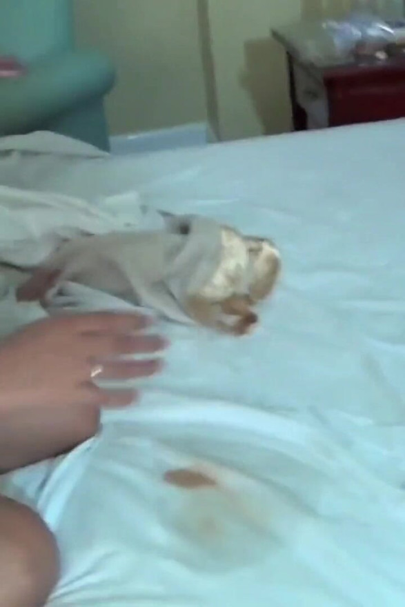 Asyalı amcığından döl damlıyor