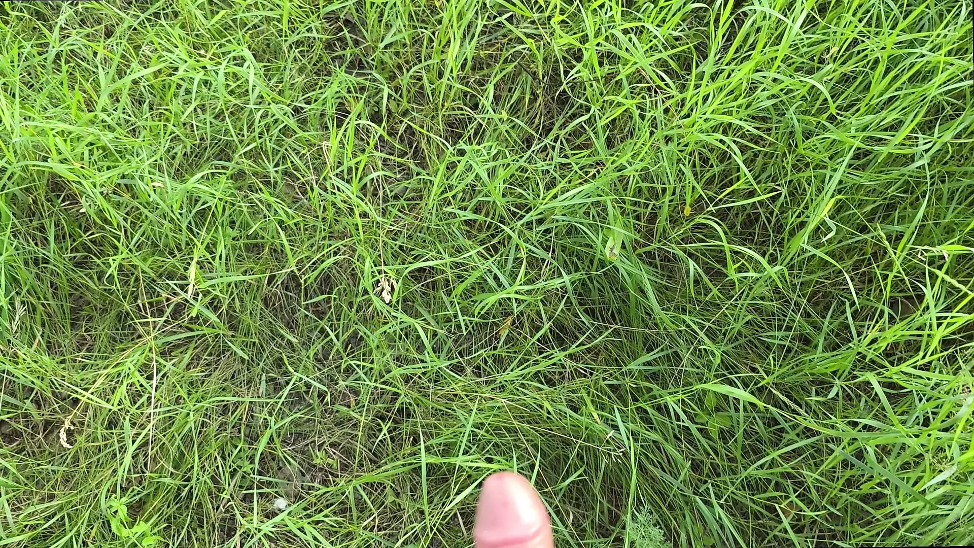 The lonely girl wasn't scared, she wanted to watch me jerk my dick and touch it
