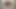 BBW Gagging Blowjob + Anal