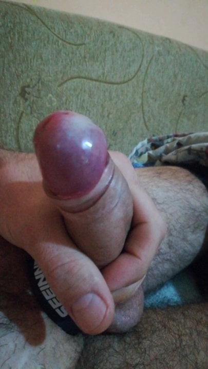 Mastrubacia