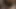 Wife Wants to Try Anal