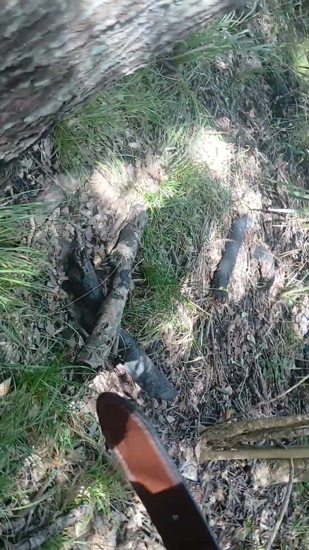 Jacking off in a public park,Waltz1988