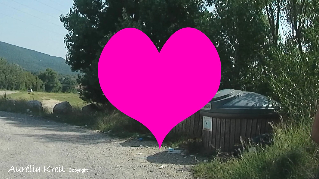 I take out the trash in my school clothes and with a tail plug in my ass on the side of the road while the cars pass by